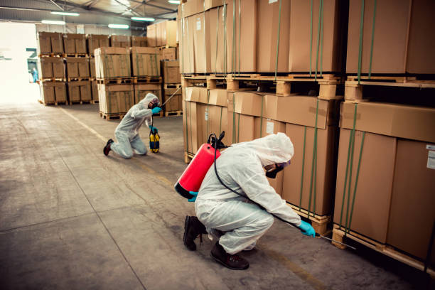 Best Best Pest Control Companies  in Lewisport, KY