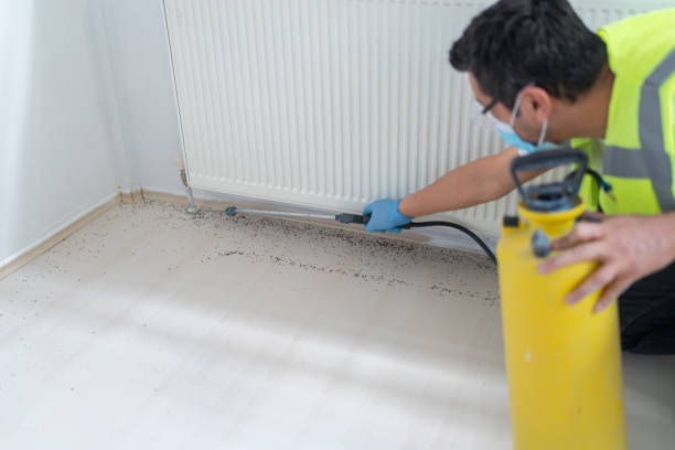 Best Pest Prevention Services  in Lewisport, KY