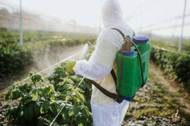 Best Pest Control Treatment  in Lewisport, KY
